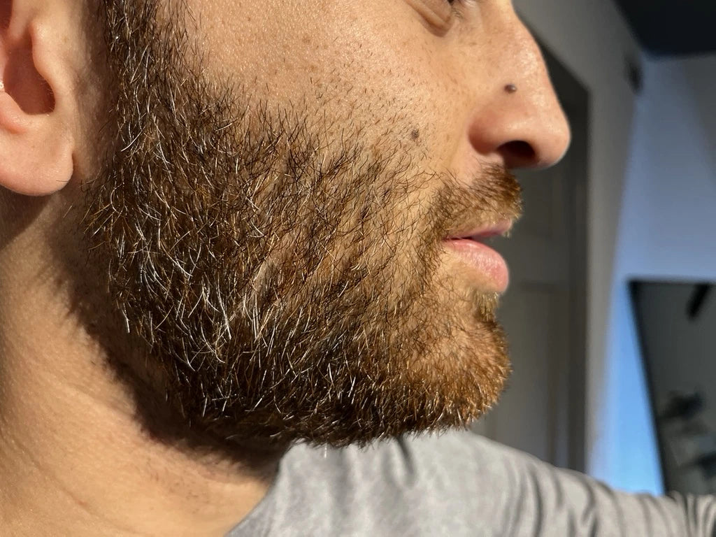 Men's Beard Facial Healthy Beard Results at Menscape Nashville