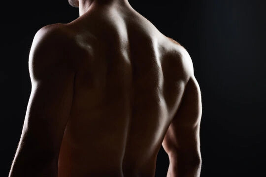 Men’s back, shirtless, with clear skin